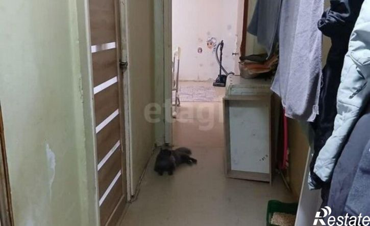 3-комн квартира проспект Фрунзе, 75,  д. 75