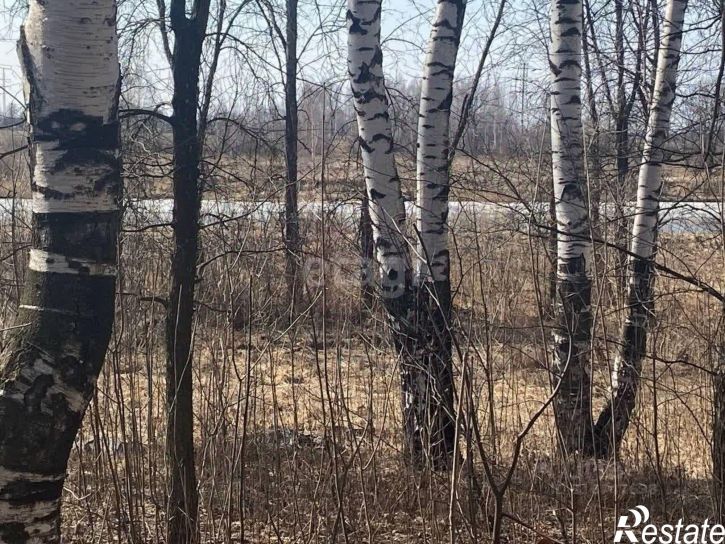 Помещение свободного назначения Молодёжная улица, 20,  д. 20