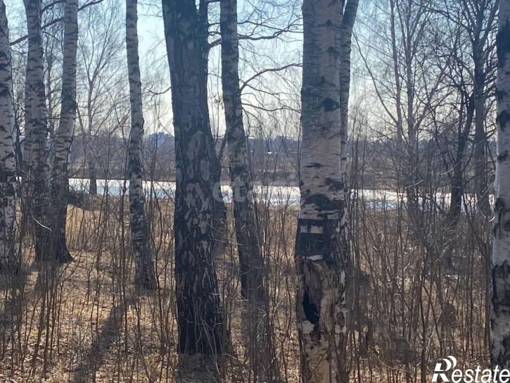 Помещение свободного назначения Молодёжная улица, 20,  д. 20