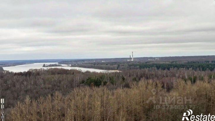 1-комн квартира Большая Норская улица, 5,  д. 5