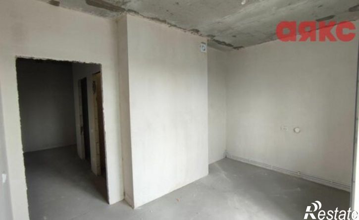 2-комн квартира Красноборская улица, 38к2