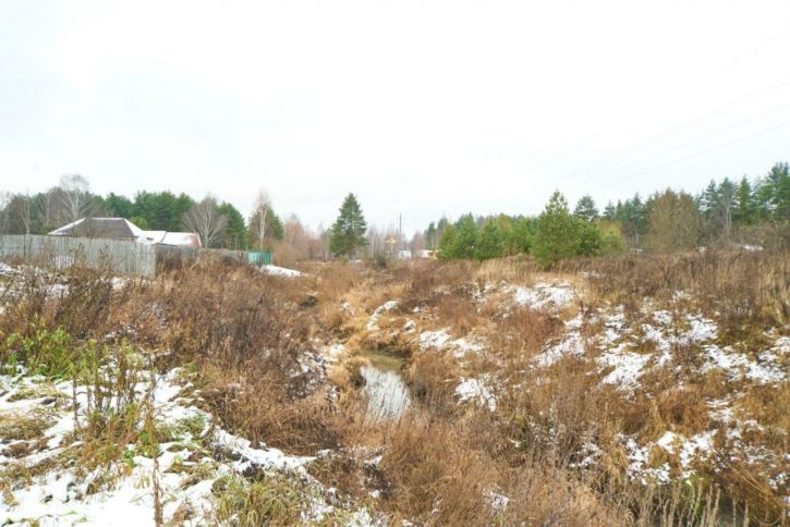 Коттедж/дом Панфилова ул