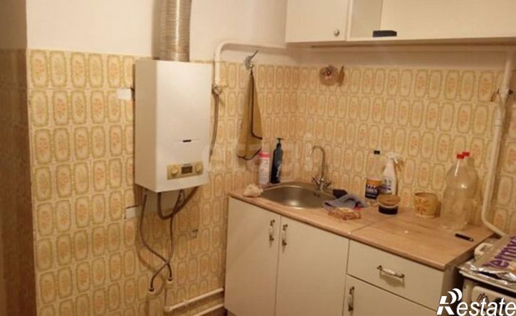 1-комн квартира ул Елены Колесовой, 22,  д. 22