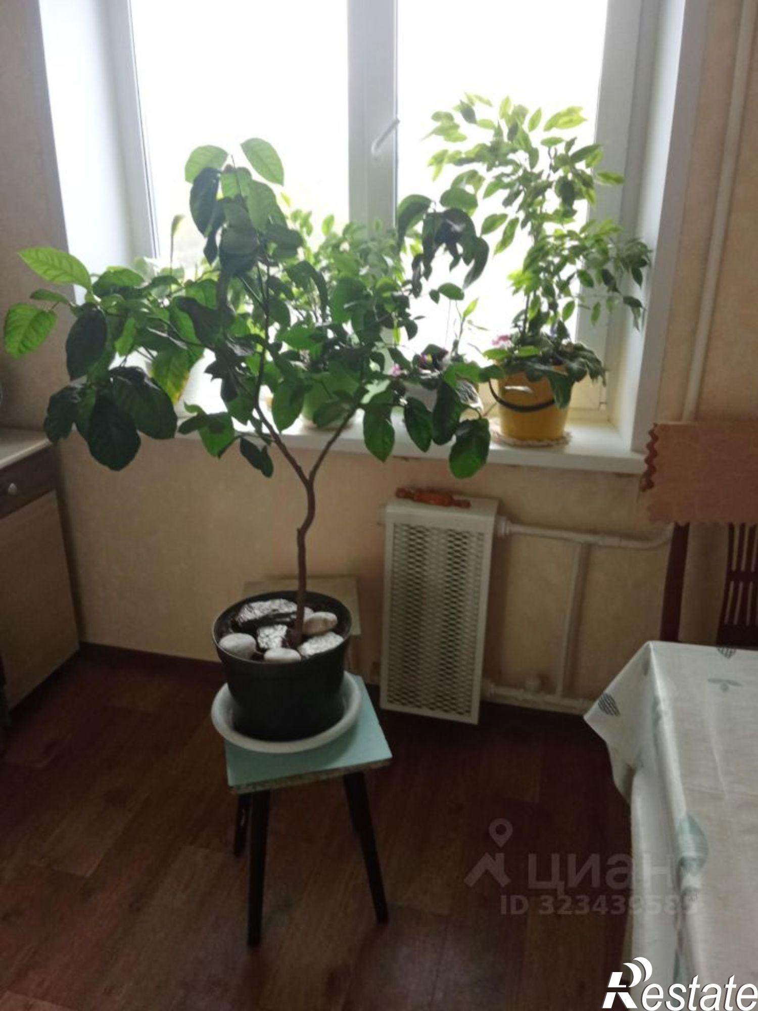 Купить квартиру за 4 500 000 рублей на проспект Машиностроителей, 13 к2