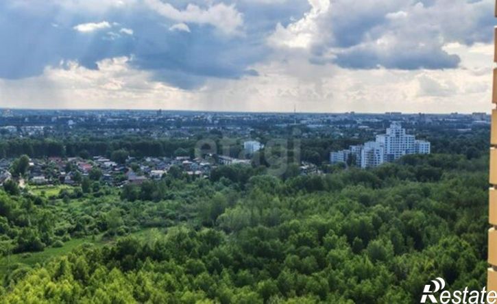 1-комн квартира Красноборская улица, 38к3