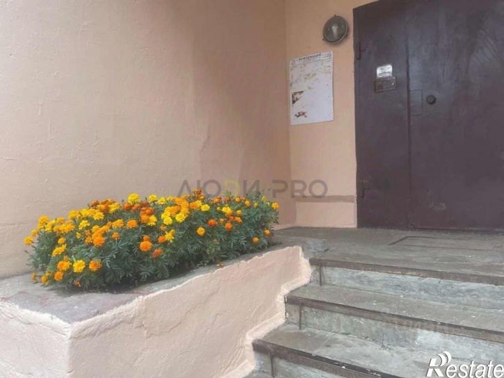 1-комн квартира ул Тургенева, 23,  д. 23