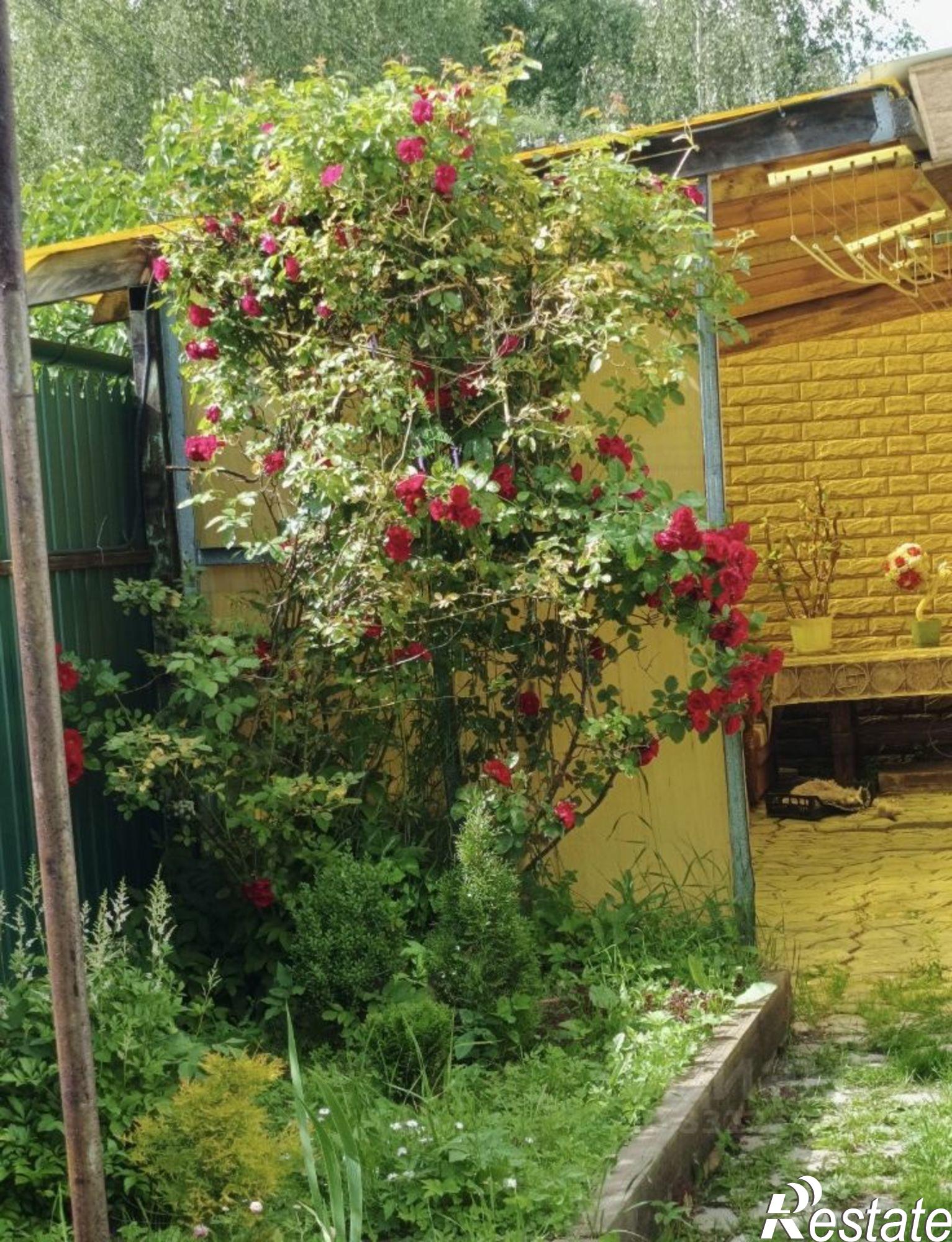 Купить дачу, дом, коттедж за 12 500 000 рублей на лн 19-я поселок Творогово, 22