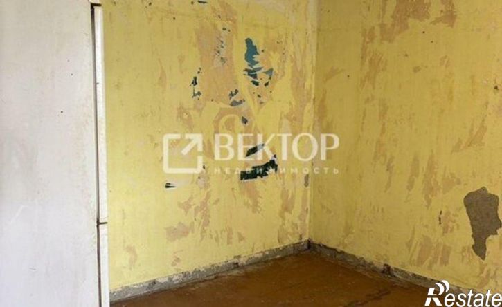 1-комн квартира ул Елены Колесовой, 24,  д. 24