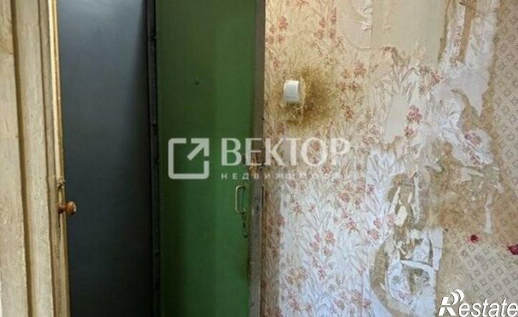 1-комн квартира ул Елены Колесовой, 24,  д. 24