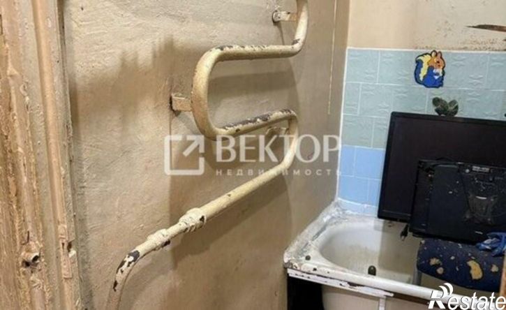 1-комн квартира ул Елены Колесовой, 24,  д. 24