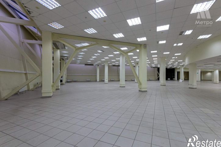 Торговое помещение Московский проспект, д.80а
