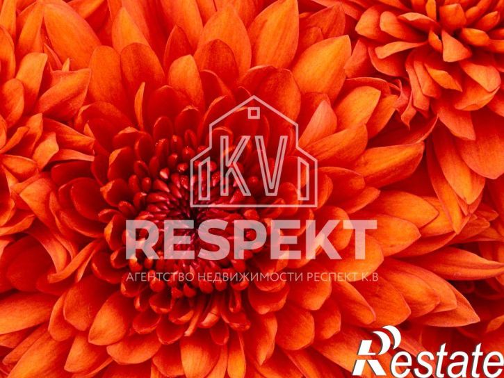 2-комн квартира 2 Участок НПЗ ул