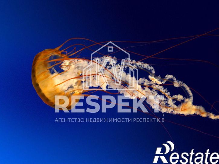 2-комн квартира 2 Участок НПЗ ул